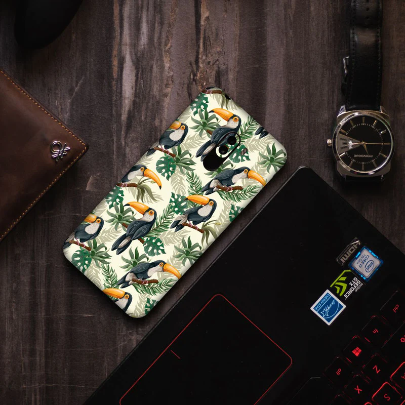 Toucan